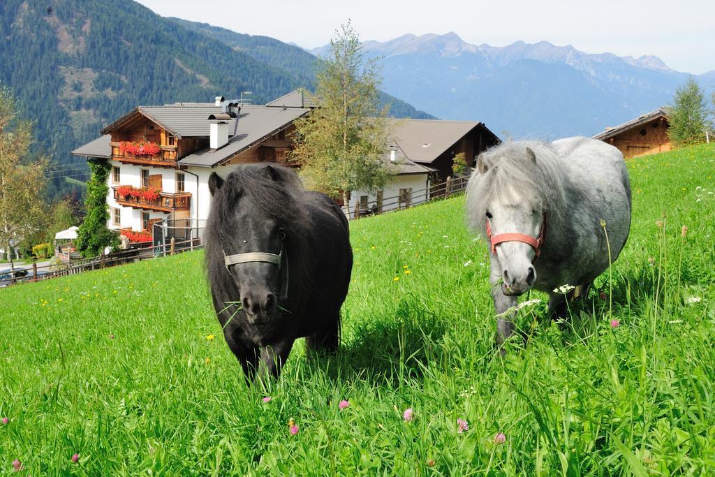 Hotel Kompatscherhof Luson Exteriér fotografie